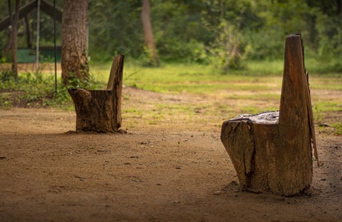 Tissamaharama RV Rental | Family Glamping Bordering Yala National Park