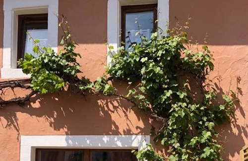 Bausendorf House | Family Haus KEIN NEBEN KOSTEN (Price 100% Inklv) 5 min to Mosel