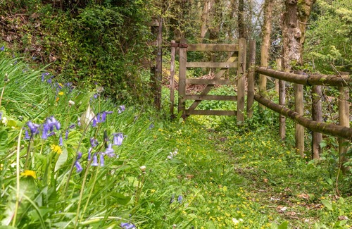 Brushford House | Family home in 10 acres private garden/woodland. Great for walkers and wildlife.
