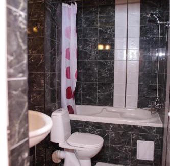 Vidin Hotel | Family Hotel Avramov