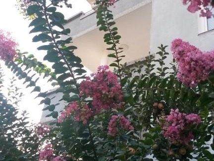 Petrich House | Family Hotel "May"
