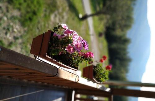Troyan Hotel | Family Hotel Panorama