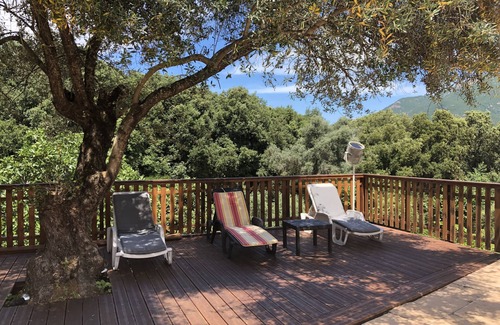 Eccica-Suarella Apartment | family house for holidays and rest