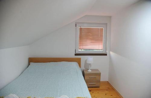 Valjevo House | Family House Maksimović