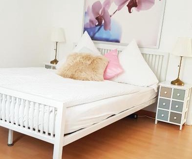 Buchs Apartment | Family Mountain View - Upper Alley