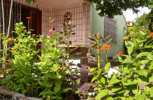 Parnaiba Cabin | Family on te road