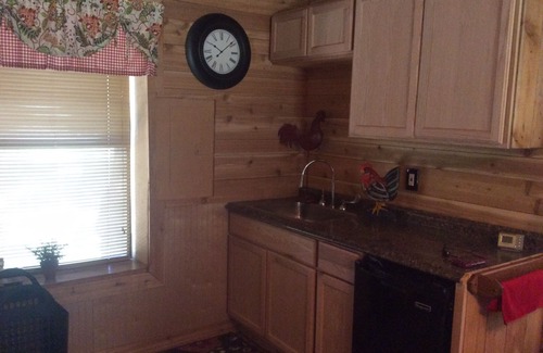 Roanoke Cabin | Family/Pet Friendly Country Cabin Firepit Minutes To DFW & Texas Motor Speedway