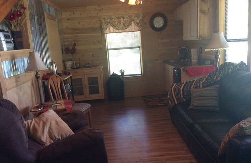 Roanoke Cabin | Family/Pet Friendly Country Cabin Firepit Minutes To DFW & Texas Motor Speedway