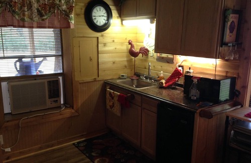 Roanoke Cabin | Family/Pet Friendly Country Cabin Firepit Minutes To DFW & Texas Motor Speedway