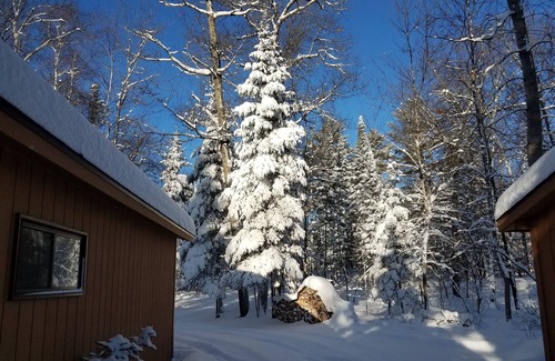 Outing Cabin | Family/pet friendly. Gorgeous views from this stunning wooded lot.