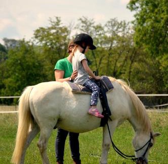 Frankenau-Unterpullendorf Apartment | Family Ranch Urlaub am Pferdehof
