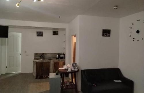 Bilar House | Family Room