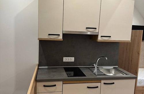 Ratece Apartment | Family Studio Apartment pri Viktoru
