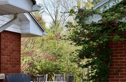 North Dumfries House | Family Style Cottage 5 minutes from the Gaslight District