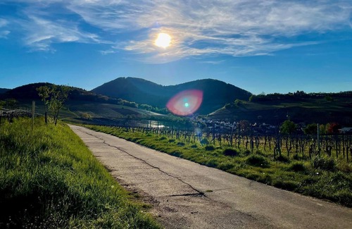 Birkweiler House | Family suite comfort - St. Laurentiushof