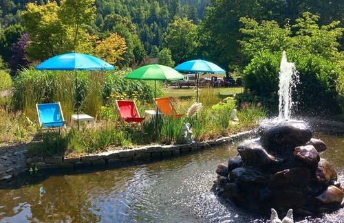 Schoenmuenzach Apartment | Family vacation & outdoor pool & national park.