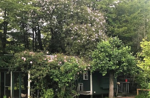 Etzhorn House | Fancy an extraordinary time out