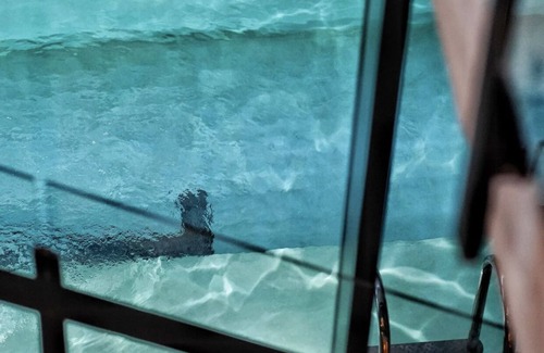 Mar del Plata Apartment | Fantástico Monoambiente, a Metros del Mar, Lá Perla , Mdp, con Amenities Únicos