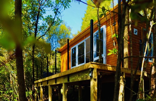 Wainui Ski Chalet | Fantail Bush Chalet, bush and golf on your doorstep!