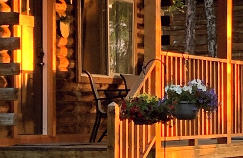 Willow Cabin | Fantastic Cabin in Willow, Sleeps 3! Full kitchen and bathroom!