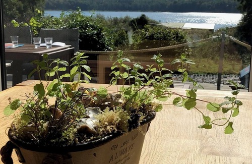 Wittstock/Dosse House | Fantastic lake view, motor boat, close to the beach, WiFi, fireplace, 2 baths, relaxation