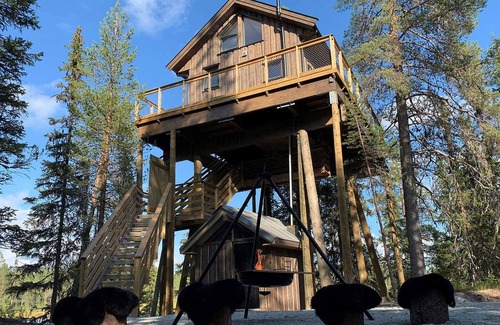 Trysil House | Fantastic Experiences, Wooden Cabin – A Serene Escape in Trysil Forest