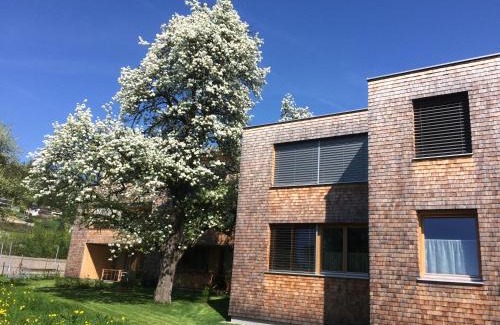 Klaus Apartment | Fantastische Penthousewohnung mit 100 m2 klimatisiert