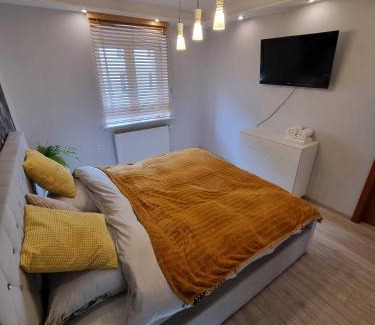 Walbrzych Apartment | Fany