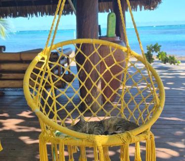 Hauru House | Fare Tokoau Moorea