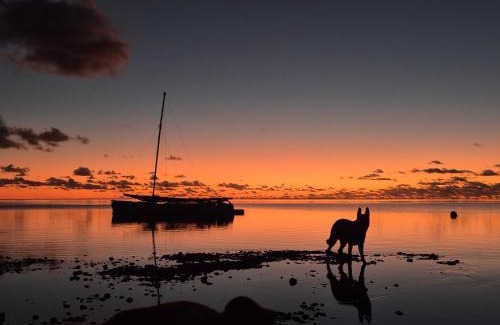 Hauru House | Fare Tokoau Moorea