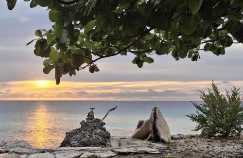 Fakarava House | Fareana Lodge Bungalow Piti
