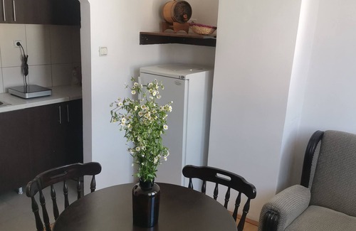 Donji Milanovac Apartment | FARIS is a bright centrally located apartment with nice danube and city view