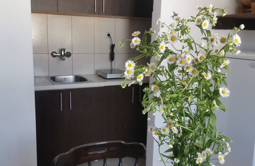 Donji Milanovac Apartment | FARIS is a bright centrally located apartment with nice danube and city view
