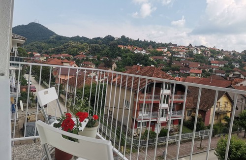 Donji Milanovac Apartment | FARIS is a bright centrally located apartment with nice danube and city view