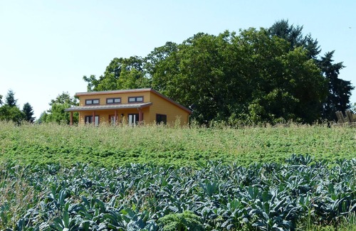 Albany House | Farm bungalow with easy access to Albany and Corvallis