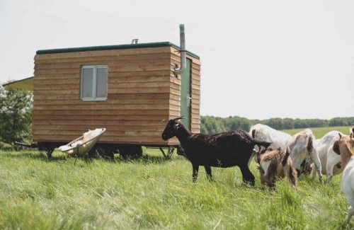 Selpin Resort | Farm Cabin im Grünen