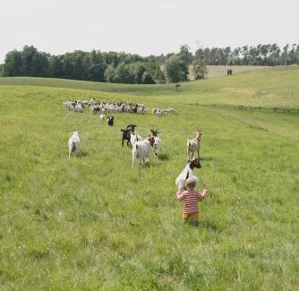 Selpin Resort | Farm Cabin im Grünen