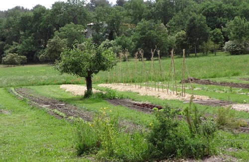 Lauris Cottage | Farm Cottage: A Different Vacation!