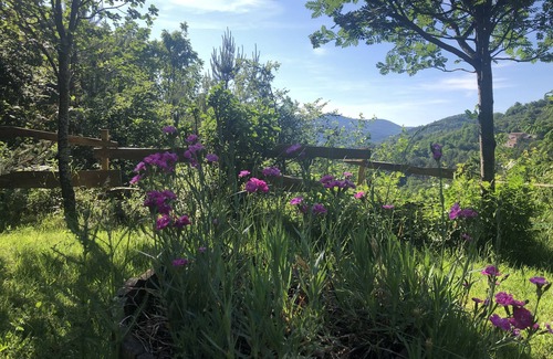 Nozieres Cottage | Farm cottage in the Ardèche mountains