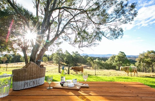 Candelo Apartment | Farm Escape for the whole family at Bumblebrook Farm Motel Unit 2. Pet Friendly