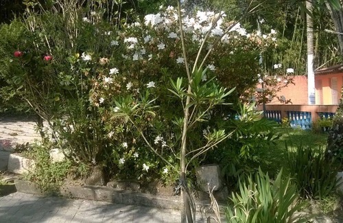 Mogi das Cruzes House | Farm for events and tours in less than 1 hour from SP Mogi das Cruzes