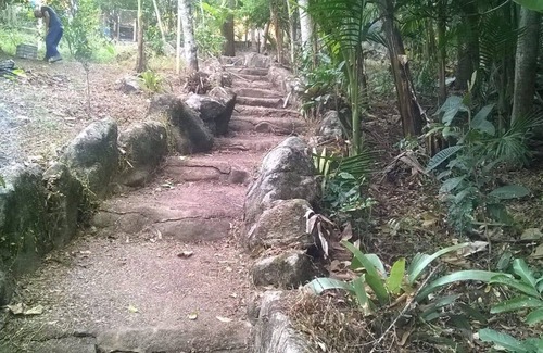 Mogi das Cruzes House | Farm for events and tours in less than 1 hour from SP Mogi das Cruzes