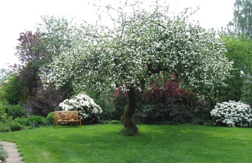 Schneverdingen Apartment | Farm guesthouse in the Lüneburg Heath, located at the NSG, dog by arrangement