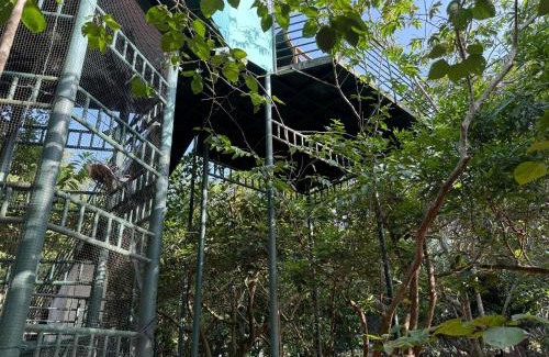 Kollam House | Farm House