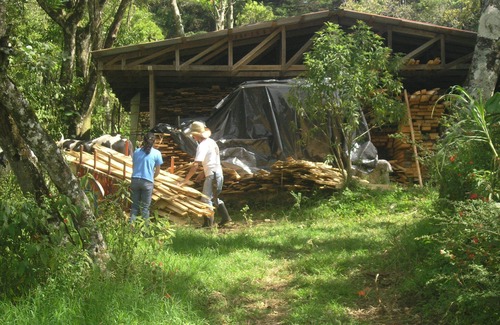 Concepcion RV Rental | Farm in heredia with tons of forest and great hikes