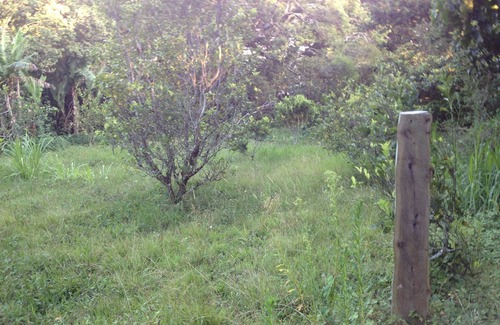 Concepcion RV Rental | Farm in heredia with tons of forest and great hikes