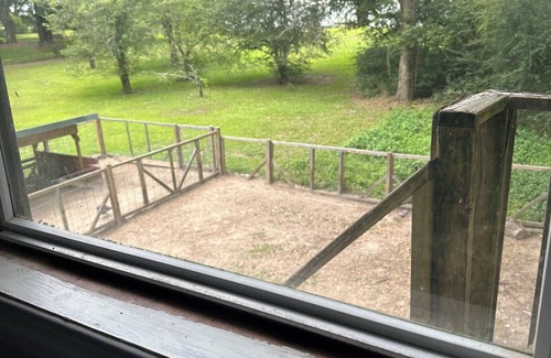 Leesville House | Farm Life at its finest