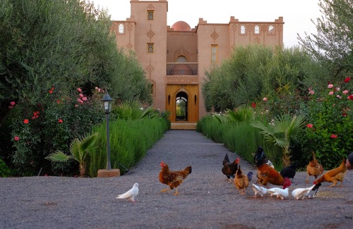 Menara Villa | Farm Sidi Safou I Villa Sidi Safou