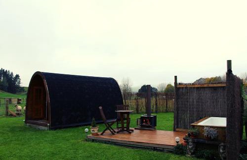 Tapawera House | Farm Therapy