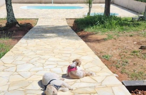 Mato do Gado House | Farm with swimming pool, fireplace and gourmet space surrounded by greenery.